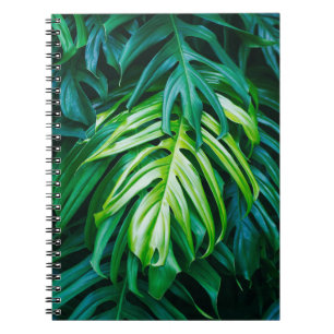 Tropical green leaves on dark background, nature s notebook