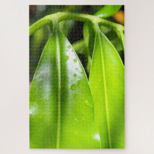 Tropical Green Leaves Photo Puzzle