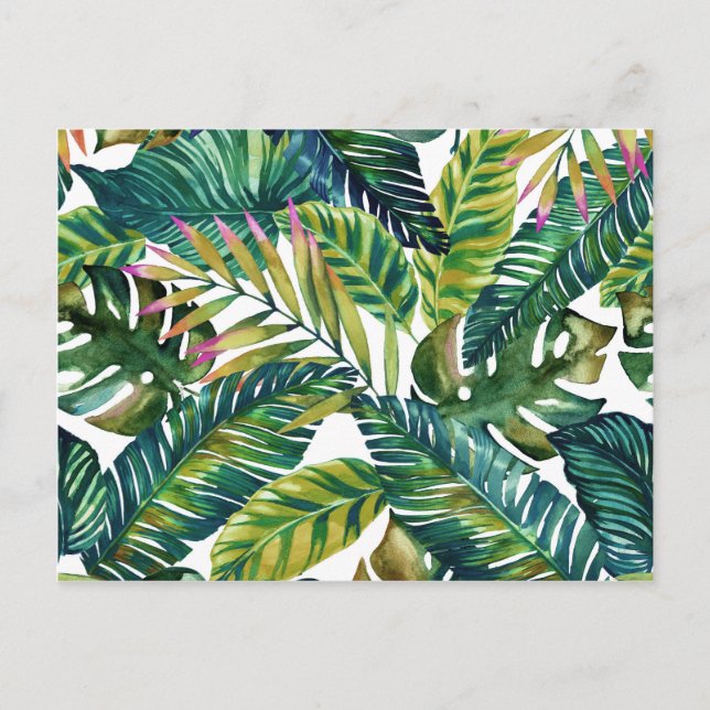  tropical green leaves postcard  (Front)