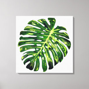 Tropical Green Monstera Leaf Canvas Print