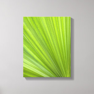 Tropical Green Palm Frond Canvas Print