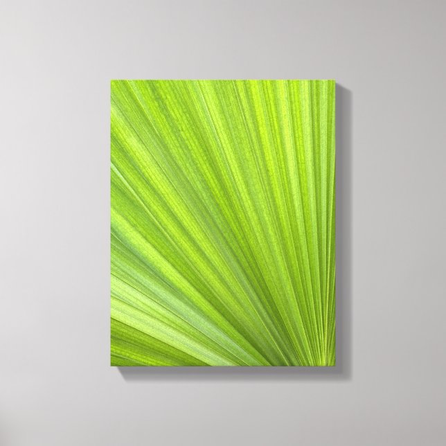 Tropical Green Palm Frond Canvas Print (Front)