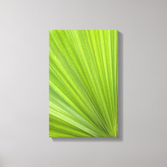 Tropical Green Palm Frond Canvas Print (Front)