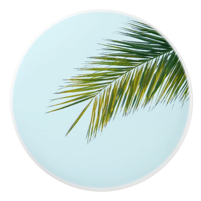 Tropical Green Palm Frond on Light Blue Ceramic Knob (Front)