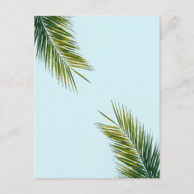 Tropical Green Palm Frond on Light Blue Enclosure Card (Front)