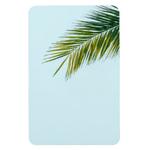 Tropical Green Palm Frond on Light Blue Magnet