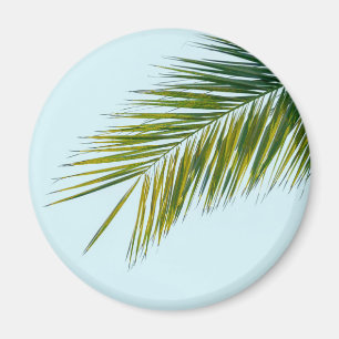Tropical Green Palm Frond on Light Blue Magnet