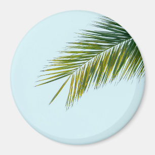 Tropical Green Palm Frond on Light Blue Magnet