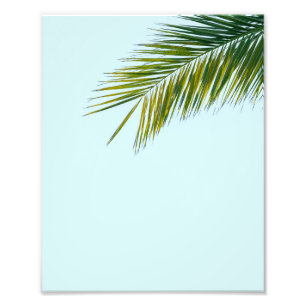 Tropical Green Palm Frond on Light Blue Photo Print