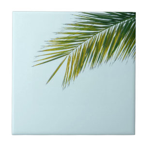 Tropical Green Palm Frond on Light Blue Tile