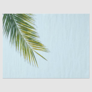 Tropical Green Palm Frond on Light Blue Tissue Paper