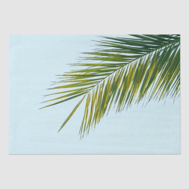 Tropical Green Palm Frond on Light Blue Tissue Paper (Front)