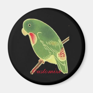 Tropical Green Parakeet Thunder_Cove Magnet