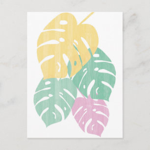 Tropical Greenery - Monstera Leaves Postcard