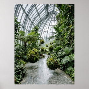 Tropical Greenhouse Jungle Path Poster