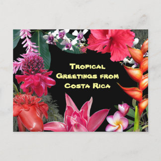 Tropical Greetings from Costa Rica Postcard