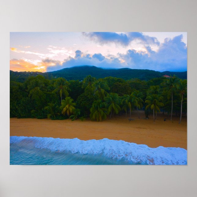 Tropical Guadeloupe Ocean Island Palm Beach Sunset Poster (Front)