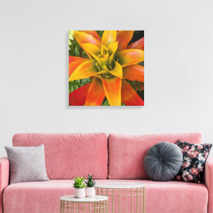 Tropical Guzmania Plant Floral Canvas Print