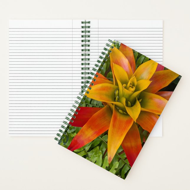 Tropical Guzmania Plant Floral Notebook (Inside)