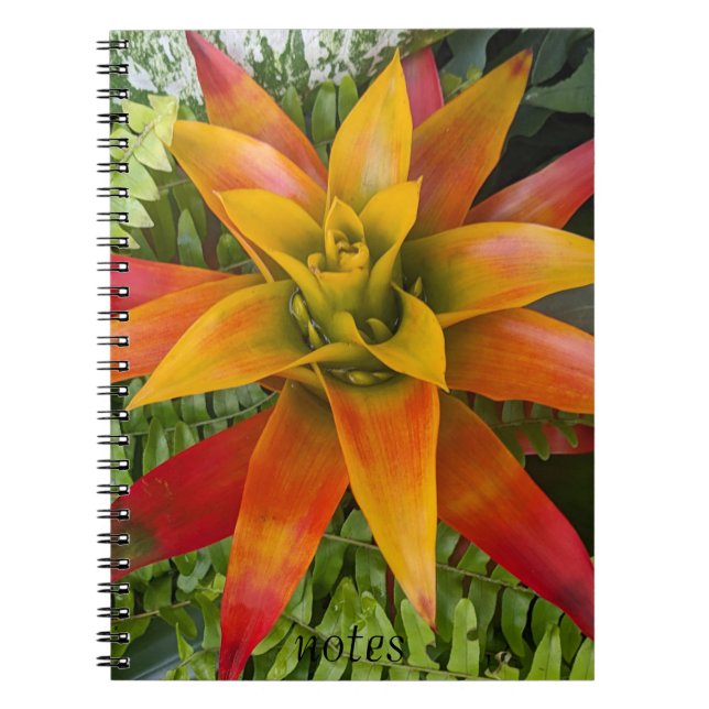 Tropical Guzmania Plant Floral Notebook (Front)