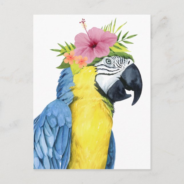 Tropical Halo - Parrot Postcard (Front)