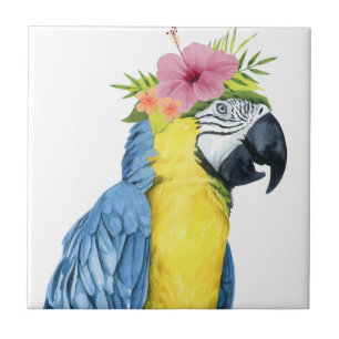 Tropical Halo - Parrot Tile