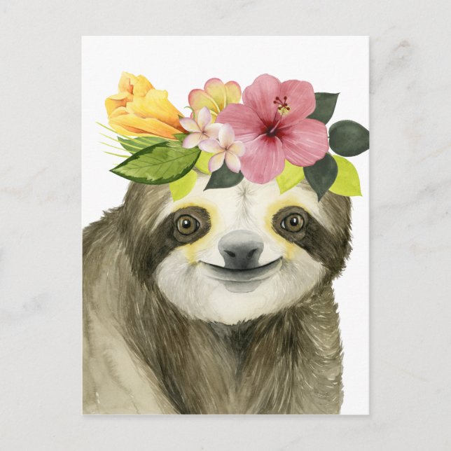 Tropical Halo | Sweet Sloth Postcard (Front)