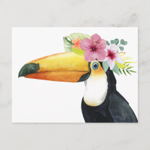 Tropical Halo - Toucan Postcard