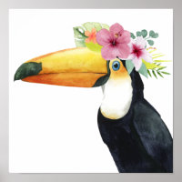 Tropical Halo - Toucan