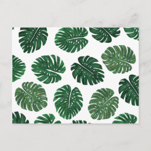 Tropical Hand Painted Swiss Cheese Plant Leaves Postcard