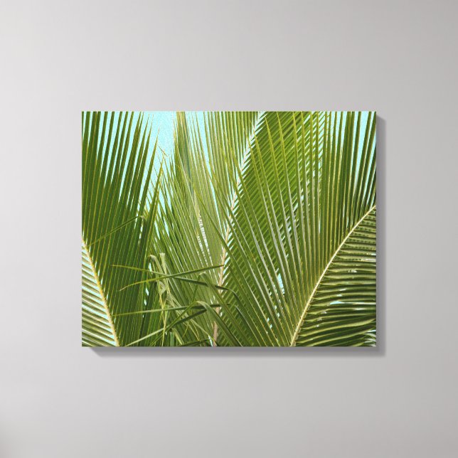 Tropical Hawaii Palm Tree Canvas Print (Front)