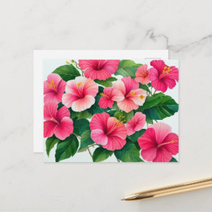 Tropical Hawaii Pink And White Hibiscus Postcard