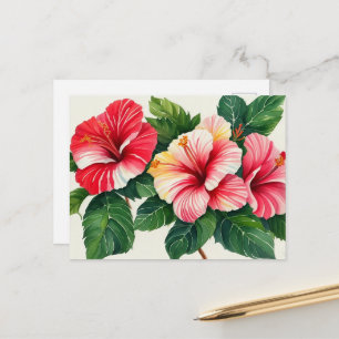 Tropical Hawaii Red Hibiscus Postcard