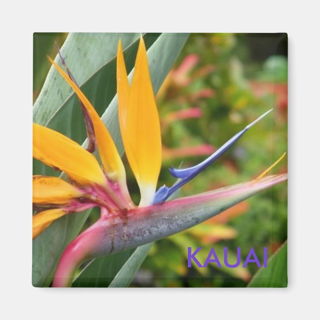 Tropical Hawaiian Flowers Bird-Of-Paradise Kauai Magnet (Front)