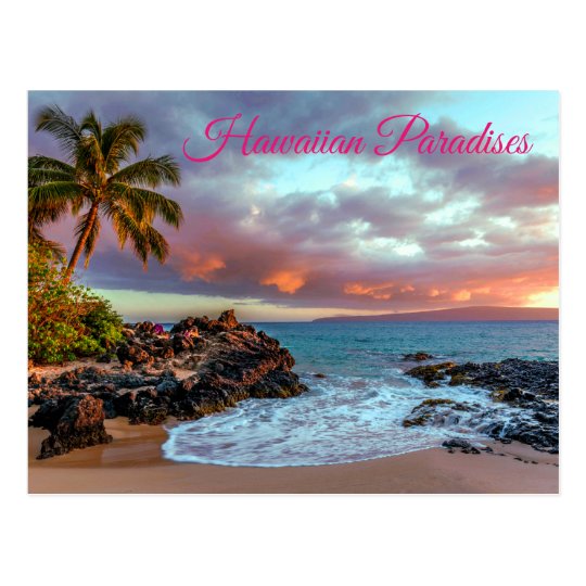 Tropical Hawaiian Palm Tree Sandy Beach Paradise Postcard Zazzle Co Uk