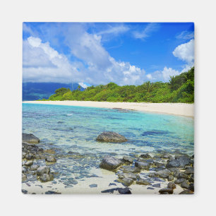 Tropical Hawaiian Rocky Beach Magnet
