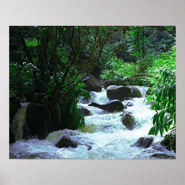 Tropical Hawaiian Waterfall Poster (Front)