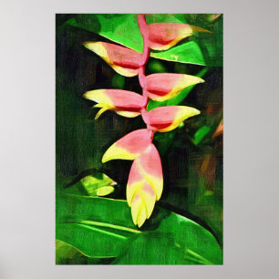 Tropical Heliconia - Lobster Claw Poster