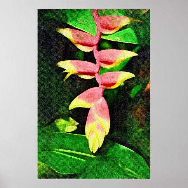 Tropical Heliconia - Lobster Claw  Poster (Front)