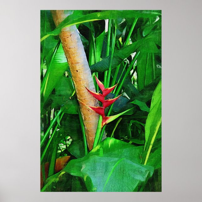 Tropical Heliconia - Walk in the garden Poster (Front)