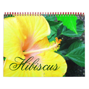 Tropical Hibiscus Flowers Calendar