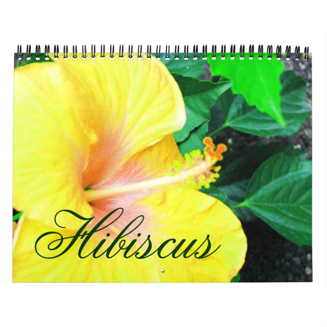 Tropical Hibiscus Flowers Calendar (Cover)