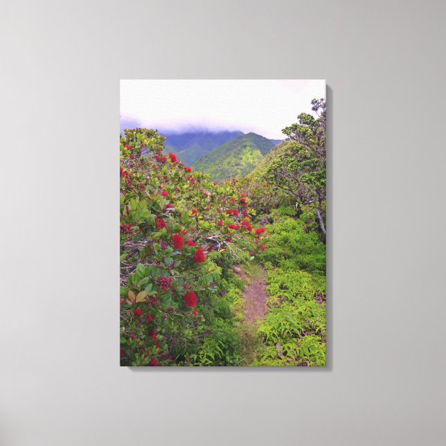 Tropical Hiking Trail Canvas Print (Front)