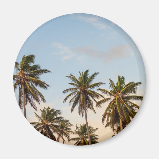 Tropical Holiday Palm Trees Magnet (Front)