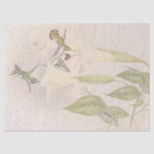 Tropical Hummingbird Birds Floral Tissue Paper