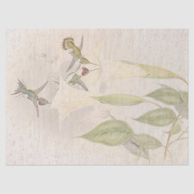 Tropical Hummingbird Birds Floral Tissue Paper (Front)