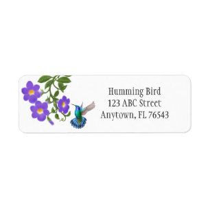 Tropical Hummingbird on Thunbergia Flowers L