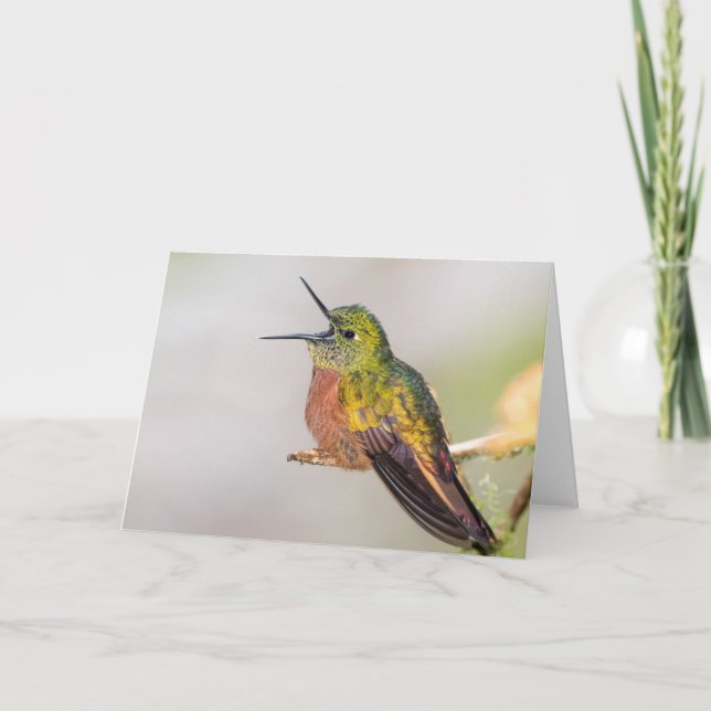 Tropical Hummingbird Talking Card (Front)