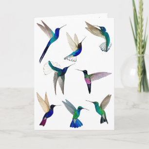 Tropical Hummingbirds  Card