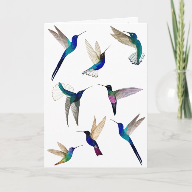 Tropical Hummingbirds  Card (Front)